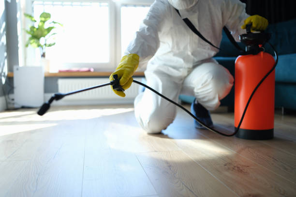 Reliable Blood Cleanup contractor in Ridgecrest, FL by Trauma Clean Pros